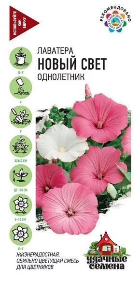 Лаватера Новый свет УС (Код: 91849)