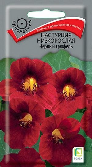 Настурция Черный Трюфель (Код: 72145)