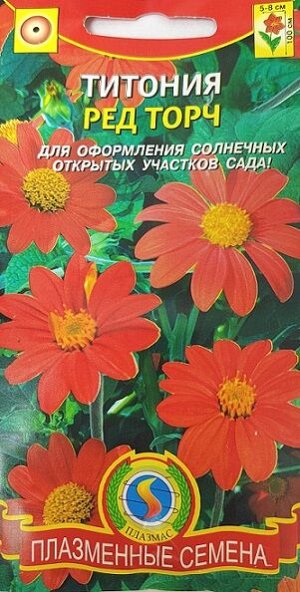 Титония Ред Торч (Код: 91582)