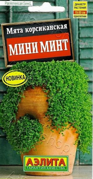 Мята корсиканская Мини Минт (Код: 88643)