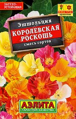 Эшшольция Королевская роскош (лидер) (Код: 91683)