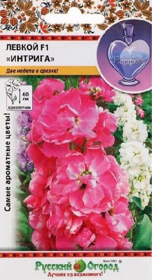Левкой Интрига F1 высокорослая смесь (Код: 8724)