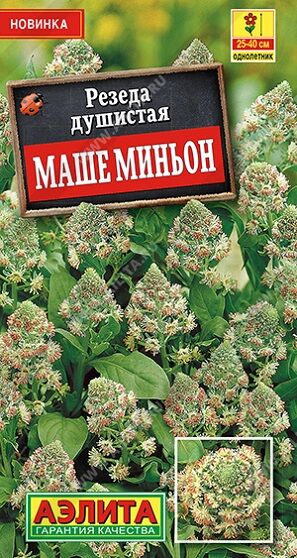 Резеда душистая Маше миньон (Код: 91810)