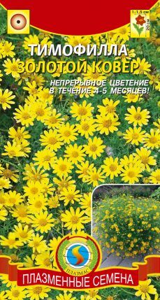 Тимофилла Золотой ковер (Код: 91581)
