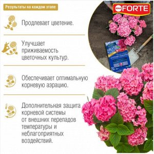 Гортензий и Рододендронов 20лит Bona Forte