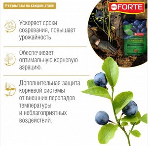 Грунт Голубика и Лесные ягоды 20лит  БОНА ФОРТЕ