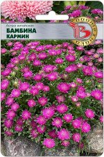 Астра китайская Бамбина Кармин