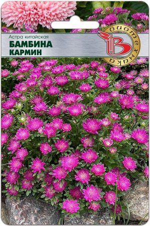 Астра китайская Бамбина Кармин