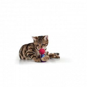 Игрушка для кошек "Пружинистый смайл", 4 см, микс цветов