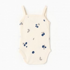 Комплект боди Крошка Я Blueberry 2 шт.