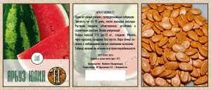 Семена Арбуза ЮЛИЯ F1 (Nunhems, Голландия) , 5шт