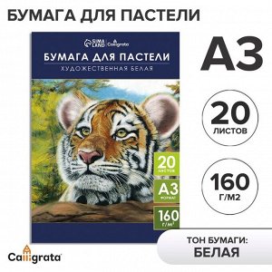 Бумага для пастели А3, 20 листов "Тигр", блок 160 г/ г/м?, в папке