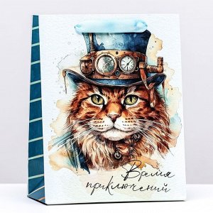 Пакет ламинированный вертикальный «Время приключений», 18x23x10 см