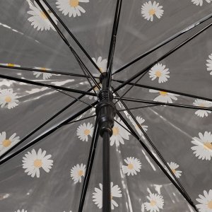 Зонт - трость полуавтоматический «Ромашка», 8 спиц, R = 45 см, цвет прозрачный/белый