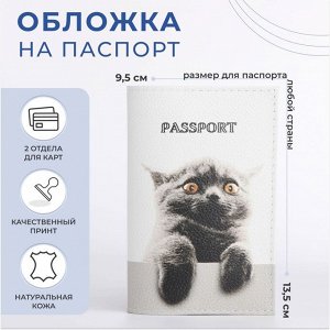 Обложка для паспорта, цвет белый