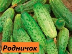 Родничок