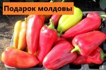 Подарок молдовы