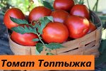 Топтыжка( красный)