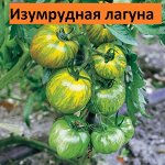 Изумрудная лагуна(зеленый)