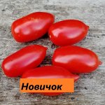 Новичок (розовый)