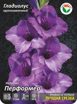 Гладиолус Перформер 10/12 7шт (Сиб сад)
