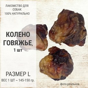 Колено говяжье, L, 1 шт (145-150 гр)
