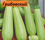 Грибовский