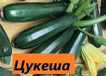 Цукеша