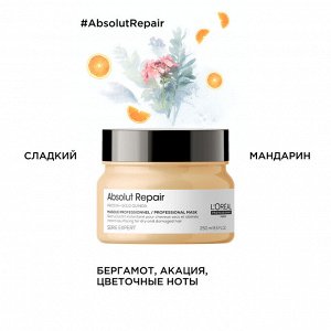 Лореаль Профессионель Маска Absolut Repair для восстановления поврежденных волос, 250 мл (L'oreal Professionnel, Serie Expert)