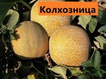Колхозница