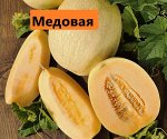 Медовая