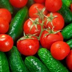 Любимая рассада томатов, огурцов, перца и многое другое