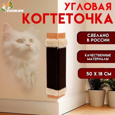 Пижон — всё для любимых питомцев