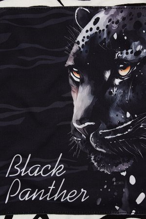 Футболка EMOTION DAY «Black panther»