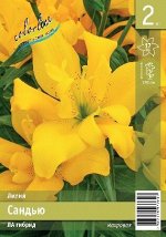 Лилия Сандью