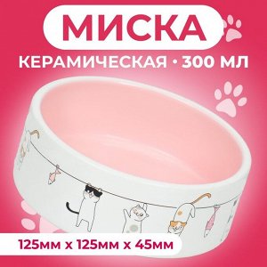 Миска керамическая "Весёлые котики" 300 мл 12,5 x 4,5 cм, бежево-белая