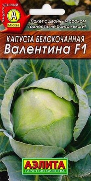 Капуста б/к Валентина F1