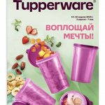 Tupperware! (15.04.2024)