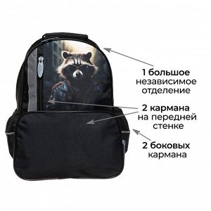Рюкзак школьный, 37 х 26 х 13 см, эргономичная спинка, Calligrata ОРТ "Енот"