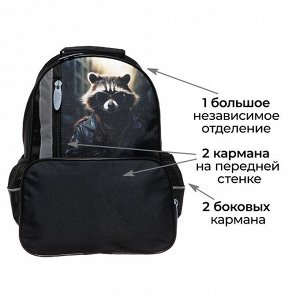 Рюкзак школьный, эргономичная спинка, 37x26x13 см «Енот»