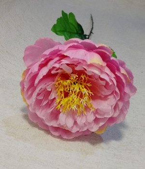 Цветок пион, 62 см(разобранный)