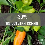 -30% на остатки семян