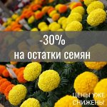 -30% на остатки семян