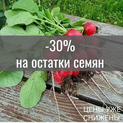 -30% на остатки семян