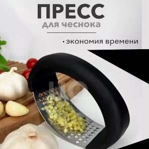 Измельчитель для чеснока