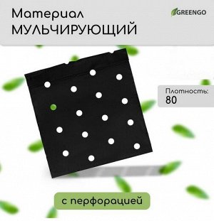 Упаковка Агротекс Чёрный Перфорированый М-80 Чёрный шир 1,6м/длина 20м