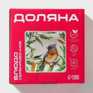 Блюдо сервировочное Доляна «Уютные коты», 15x15x3 см, белое