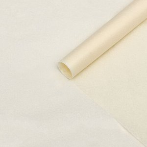 Бумага упаковочная тишью, бежевый, 50 х 66 см