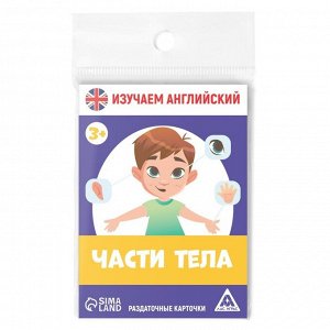 Раздаточные карточки «Изучаем английский. Части тела», 16 карт, 3+