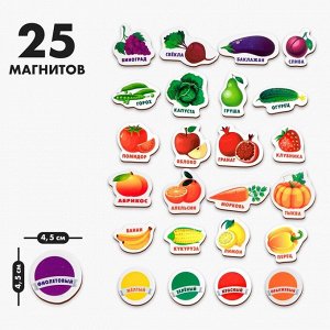 Лесная мастерская Развивающие магниты «Изучаем цвета и овощи - фрукты» (набор 25 шт.)